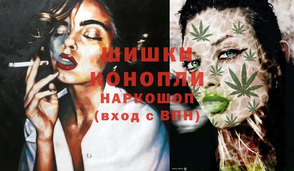 apvp Аркадак