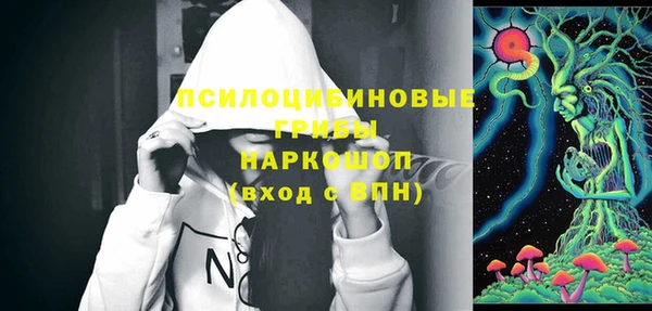 apvp Аркадак