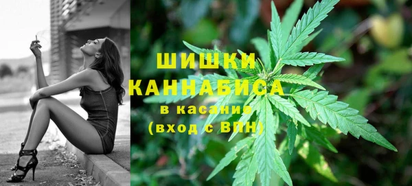 apvp Аркадак